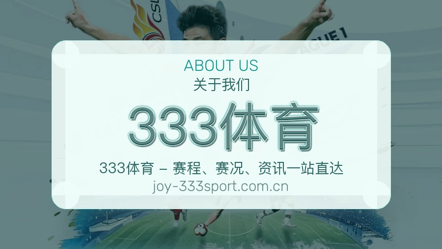 关于 333体育 体育直播服务